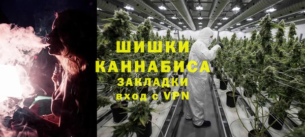 шишки Переславль-Залесский