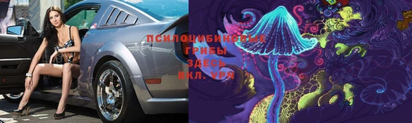 ГАЛЛЮЦИНОГЕННЫЕ ГРИБЫ Баксан