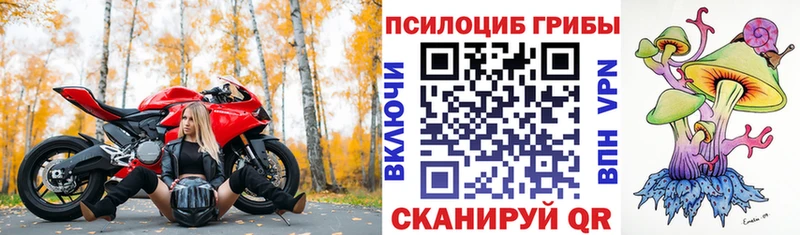 ссылка на мегу зеркало  Лермонтов  Псилоцибиновые грибы GOLDEN TEACHER 